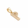 P Harfi Zirkon Taşlı Minimal Kolye Ucu  - 14k Altın Kaplama - 6 x 18 mm