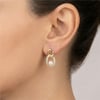 V Detaylı Zirkon Çevre İncili Tasarım Çelik Küpe 14K Altın Rengi Kaplama, 2,2 cm
