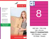 TW-2108 192x34 mm PEMBE LASER ETİKET 