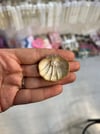 Broş