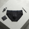 Erkek Lacivert  Renk Slip BB2827
