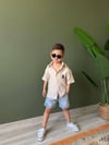 POLO ASSN TAKIM