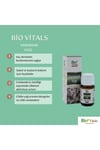Bio Vitals Sarımsak Yağı