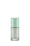 Flormar Full Color Nail Enamel Oje Fc23 8690604310593
