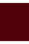 Flormar Matte Nail Enamel Oje M23 8690604284276