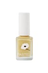 Pastel Oje 411