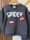 Antrasit Spidey Takım