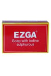 EZGA EGZAMA SABUNU 100 G