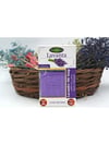 PHYTOFLORA LAVANTA SABUNU 125 G