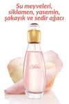 celebre-ve-pur-blanca-kadin-parfum-set-7e-4c5.jpg