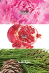 eve-truth-edp-50ml--30d4-.jpg