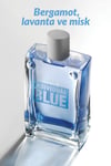 individual-blue-erkek-edt-100ml-ee-084.jpg