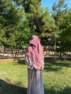 Gül Kurusu