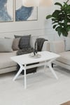 55x90 Beyaz Orta Sehpa Oturma Odası Sehpa-Salon Sehpa Zen Model