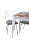 70x120 Mutfak Masası Takımı 1 Masa + 4 Sandalye Metal İstkelet Sultan Model-Ceviz/Beyaz