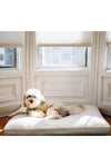 XL Su Geçirmez Çift Taraflı Peluş Büyük Köpek Yatağı 120x80 cm