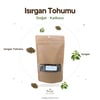 Isırgan Tohumu
