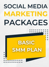 BASIC PACKET 