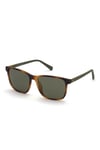 GUESS 00017 53N 56/16