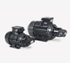 Bühler Technologies BFP 15-4-0,75 KW Yağ Sirkülasyon Pompası (3715075IE3)