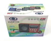Everton RT-303 Mini Digital Radyo