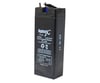 Lightex LT-42N 4 Volt 1.2 Amper Kuru Akü