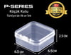 P-Serisi PK1 Plastik Küçük Organizer Kutu