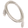 Powermaster 8608 40 cm Şeffaf Usb Uzatma Kablo