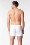 Seher Yıldızı  Erkek Paçalı Arjantin Boxer  SER0006