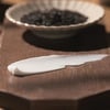 Black Tea Enriched Cream - Siyah Çay Özlü Zengin İçerikli Yaşlanma Karşıtı Nemlendirici Krem 60 ml