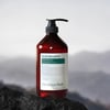 Shampoo Tea Tree Rosemary - Çay Ağacı Biberiye Şampuan 500ml