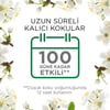 Air Wick Elektrikli Oda Kokusu Yedek Şişe Bahar Çiçekleri