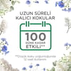 Air Wick Elektrikli Oda Kokusu Yedek Şişe Temizliğin Esintisi