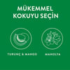 Air Wick Oda Kokusu Decosphere Mango 2'li Paket