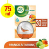 Airwick Decosphere Koku Mango-Turunç 75ml