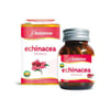 Avicenna Echinacea 60 kp