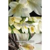 Avon Far Away Kadın Roll-On Deodorant 50 ml Oryantal Çiçek Kokusu Tüm Cilt Tiplerine Uygun