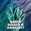Axe Erkek Sprey Deodorant Apollo 200 ml + Clear Men Saç Bakım Şampuanı Cool Sport Menthol 180 ml