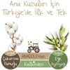 Baby Turco Külot Bebek Bezi Doğadan Beden:5 (12-25KG) Junior 72 Adet Avantaj Paketi
