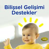 Bebelac 2 Devam Sütü 250 gr