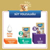 Bebelac Gold 1 Bebek Sütü 900 gr 0-6 Ay