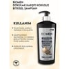 Biomen Professional Siyah Sarımsak&gümüş Iyonu Şampuan 1000 Ml