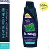Blendax Erkekler İçin Mentol Ferahlığı Nane Özlü Şampuan 500 ml Normal Saçlar İçin