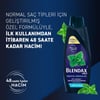 Blendax Erkekler İçin Mentol Ferahlığı Nane Özlü Şampuan 500 ml Normal Saçlar İçin