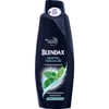Blendax Erkekler İçin Mentollü Şampuan 550 ml