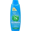 Blendax Isırgan Özlü Şampuan 500 ml Dökülmeye Eğilimli Saçlar İçin