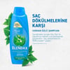 Blendax Isırgan Özlü Şampuan 500 ml Dökülmeye Eğilimli Saçlar İçin