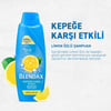 Blendax Kepeğe Karşı Etkili Limon Özlü Şampuan 500 ml Kepekli Saçlar İçin
