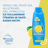 Blendax Kepeğe Karşı Etkili Limon Özlü Şampuan 500 ml Kepekli Saçlar İçin
