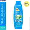 Blendax Yoğun Nemlendirme Aloe Vera Özlü Şampuan 500 ml Kuru Saçlar İçin